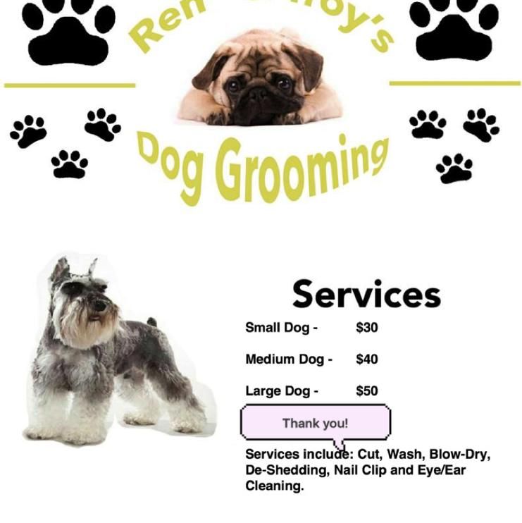 Ren & Troys Dog Grooming, 6702 Manassas Drive, San Antonio, 78240
