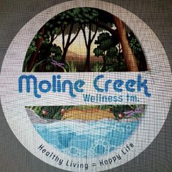 Moline Creek Wellness Studio, 421 Moline Street, Durham, 27707