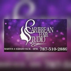 Caribbean Hair Studio, Puerto Rico 153, Coamo, 00769