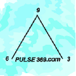 Pulse369.com, 14 Live Oak St. Suite A-5, Gulf Breeze, 32561