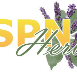 SPN Herbs Wellness (Stockbridge) Please Call For Bookings, 1940 Mt Zion Rd, Morrow, 30281
